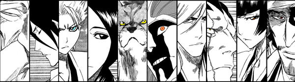 Bleach - Remaining Captains