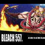 Bleach 557 - Komamura
