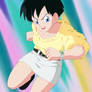 Videl v2 - COMMISSION