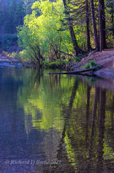 Yosemite, Merced River