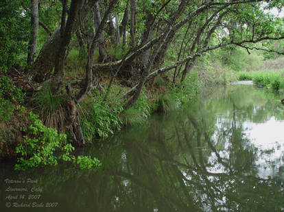 Veterans Park 4