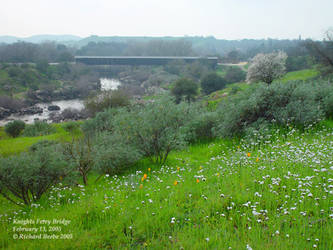 Knights Ferry bridge 3