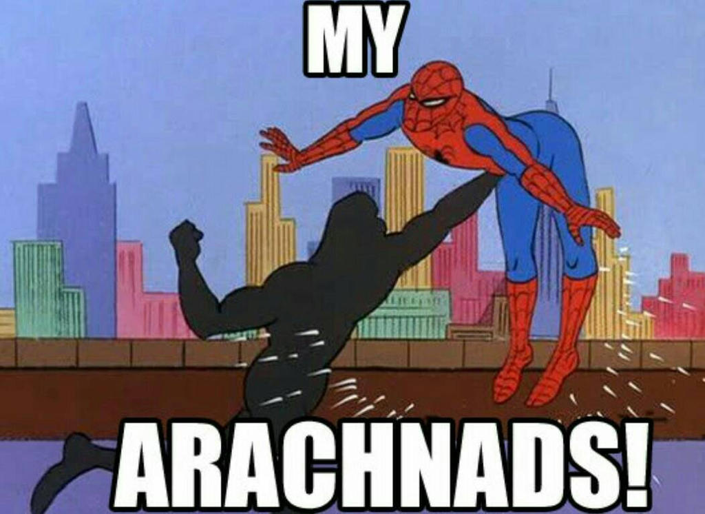 Мем пауки показывают друг. Человек паук мемы. Спайдермен показывают друг на друга. Спайдермен Мем. 2 Человека паука Мем.