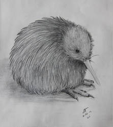 Kiwi