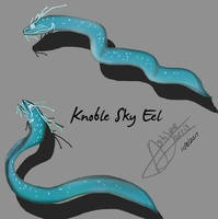 The Knoble Sky Eel