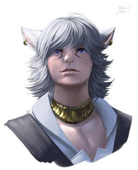 'A miqo'te named Aslan'