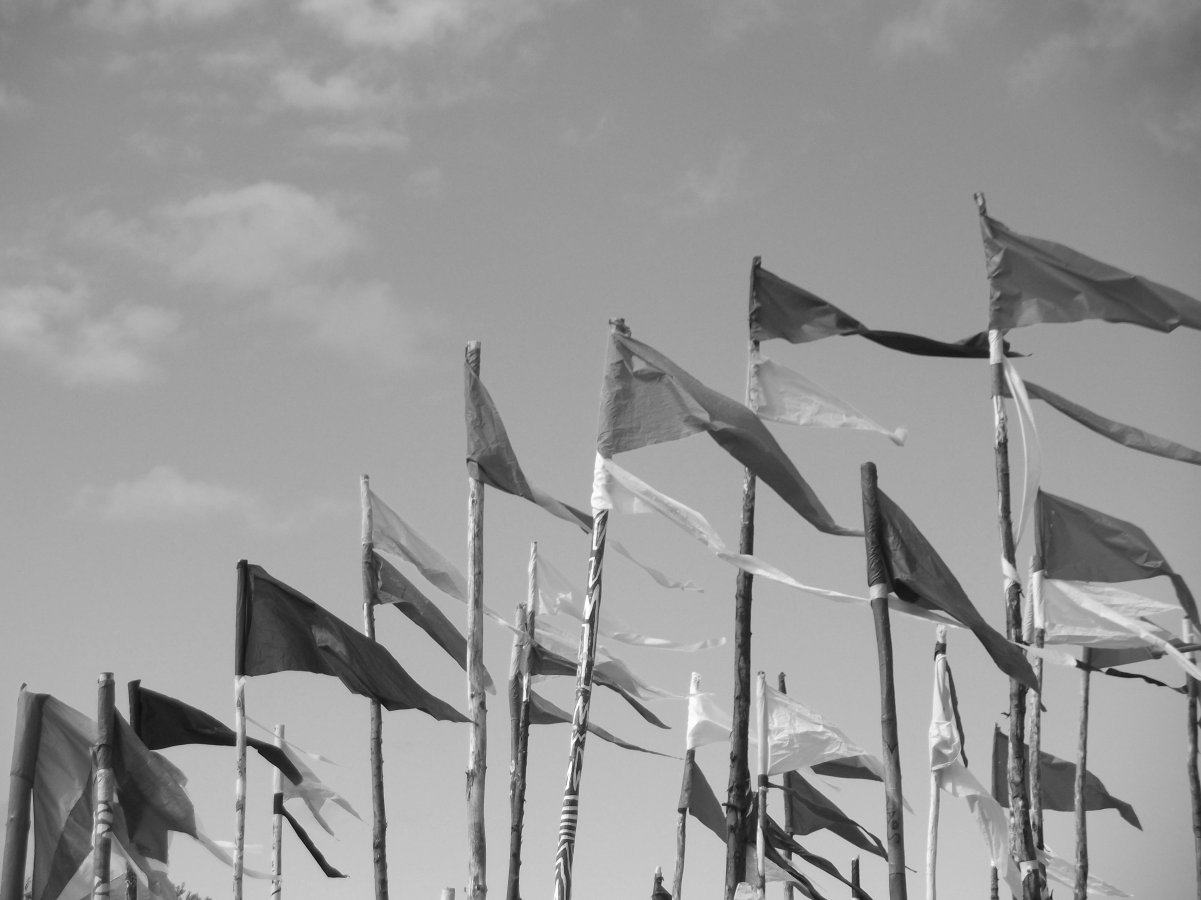 Green field flags