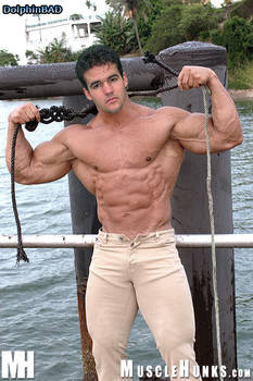 Morph: Austin St. John 2