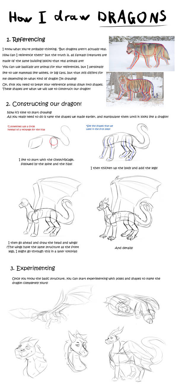 Basic dragon tutorial by Fl0atingBubbles on DeviantArt