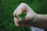 Four-Leaf Clover by PirateLotus-Stock