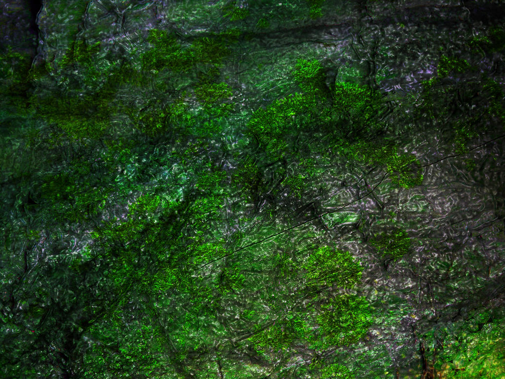 Zombie Rip Texture Zombie Skin Texture by PirateLotus-Stock on DeviantArt