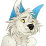 Wolf-Skoll Headshot