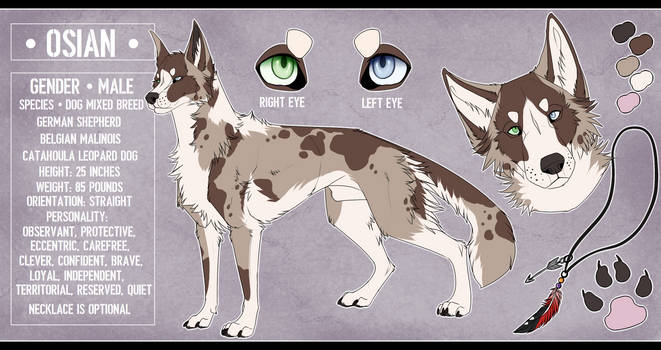 Reference sheet com - purpletiger94