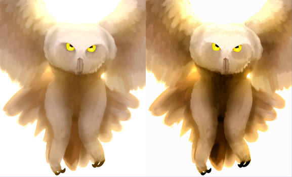 Light vs Shadow .:Owl Painting:.