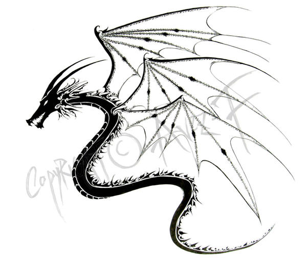 Схема крыла дракона