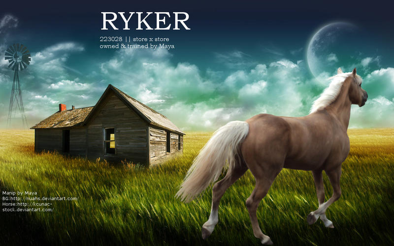 Ryker by dallasnlyndsey on DeviantArt