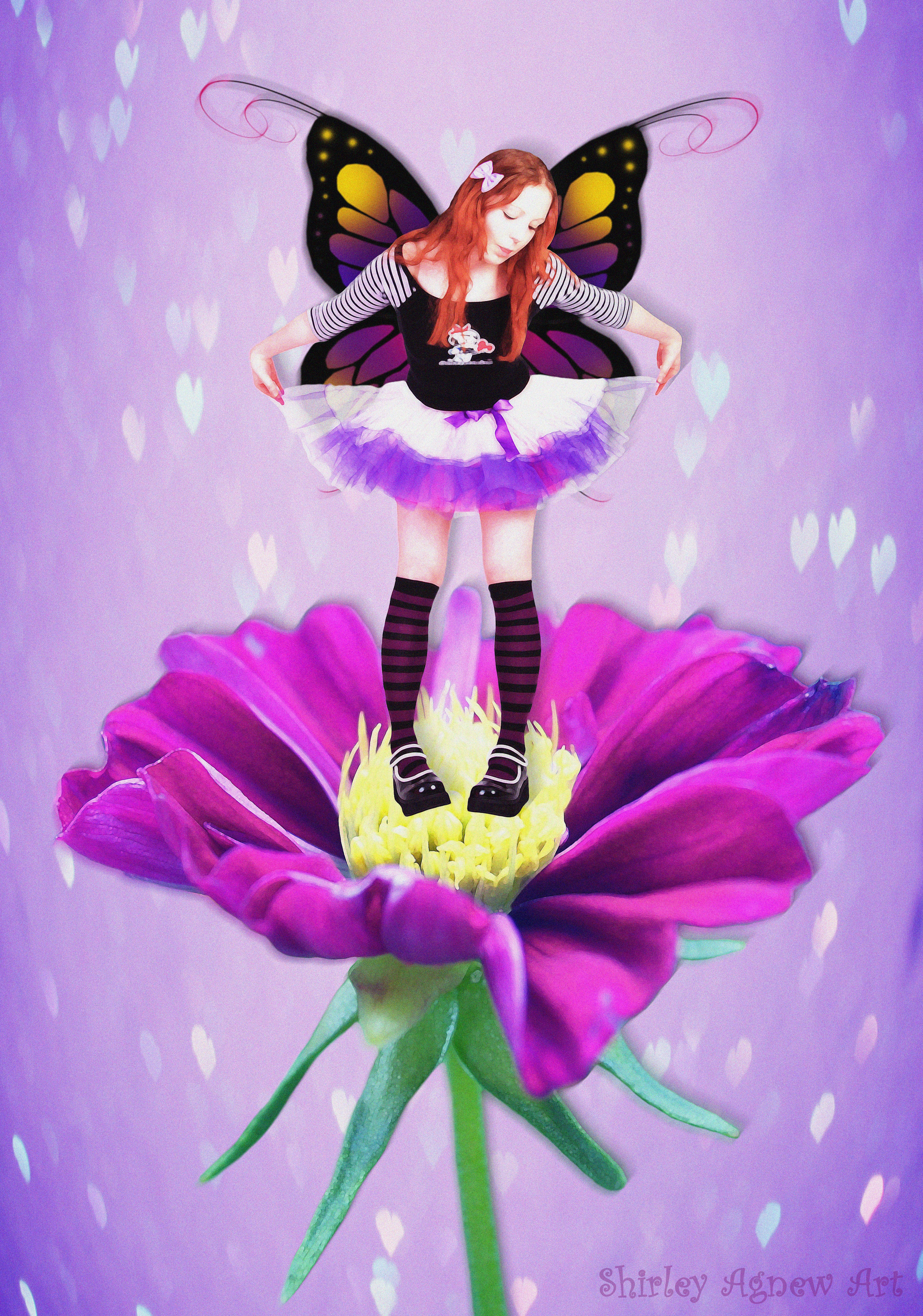 Little Purple Fairy