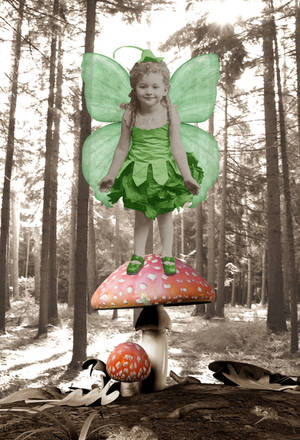 Vintage Jade Fairy by Shirley-Agnew-Art Vintage Jade Fairy by Shirley-Agnew-Art