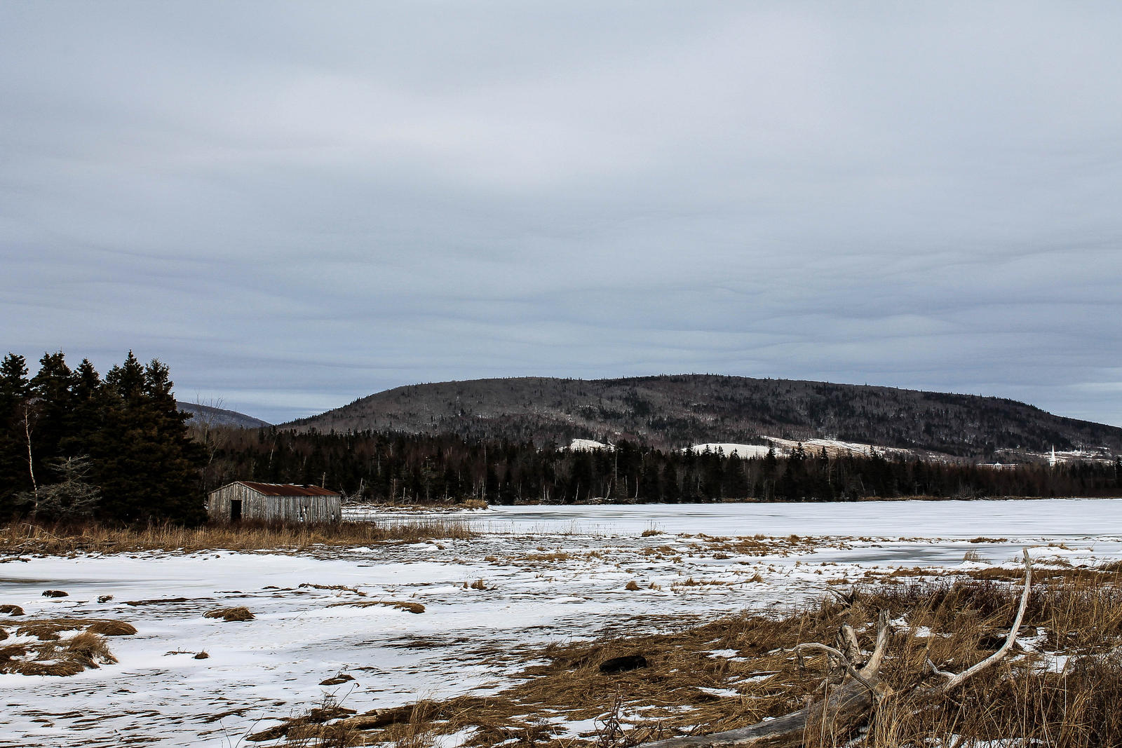 Forgotten Winter