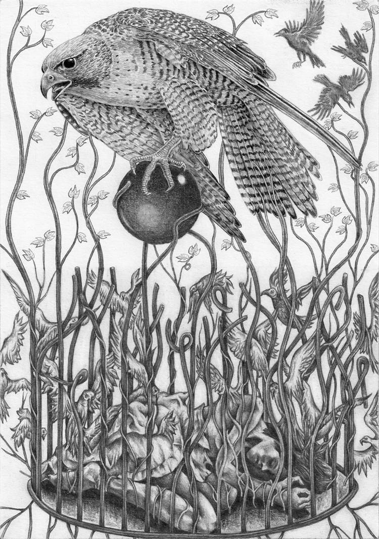Releasing Lady Hawk by marcgosselin on DeviantArt