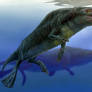 Rhodocetus