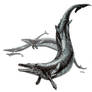 Basilosaurus