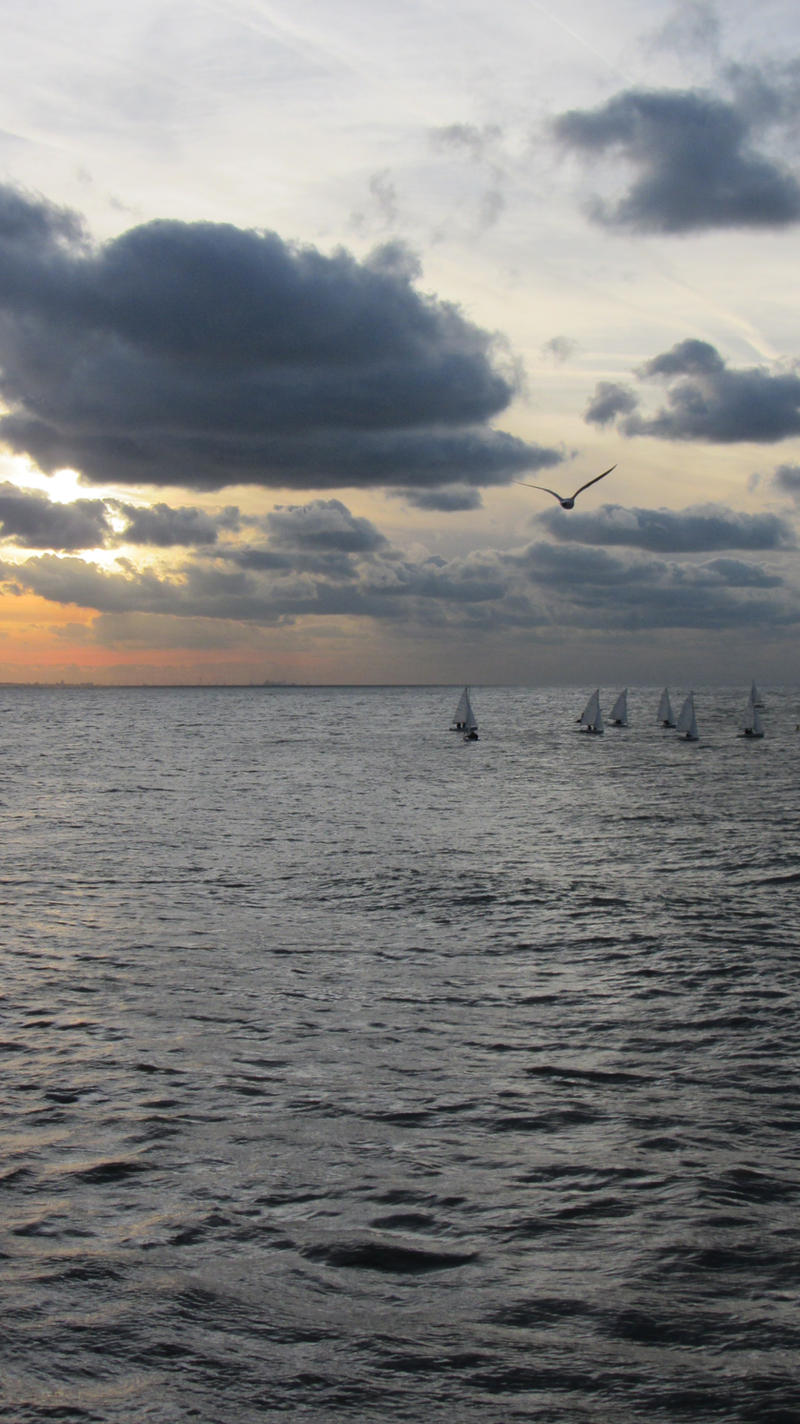 Nieuwpoort 12 (Sailboats and seagull by sunset)