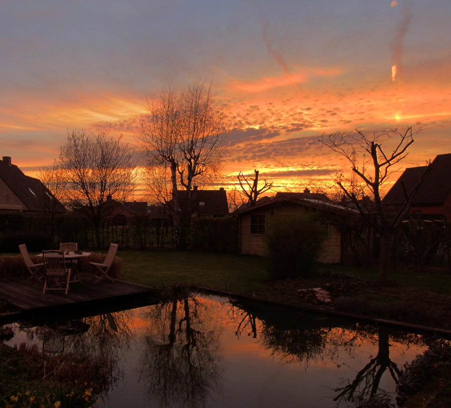 My garden with pool, at sunset in spring