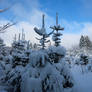 Winter in the Belgian Ardennes 1