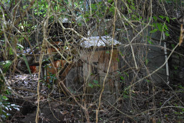 Watermill In The Woods