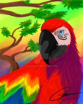 Macaw, Seriously.