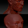 Retoping My First Bust in Zbrush