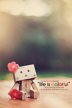 Life is colorful