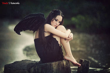 Black Wings