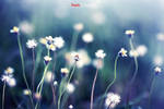 Fresh Blue by bwaworga