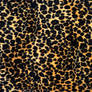 Pattern 006