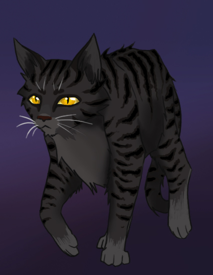 Warrior Cats Darkstripe