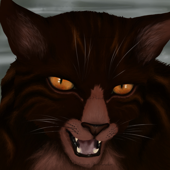 Tigerstar