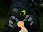 Toothless Wants Cookie