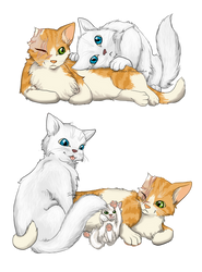 Cloudtail and Brightheart by creanima
