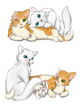 Cloudtail and Brightheart