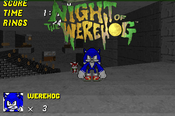 Sonic The Werehog in SRB2