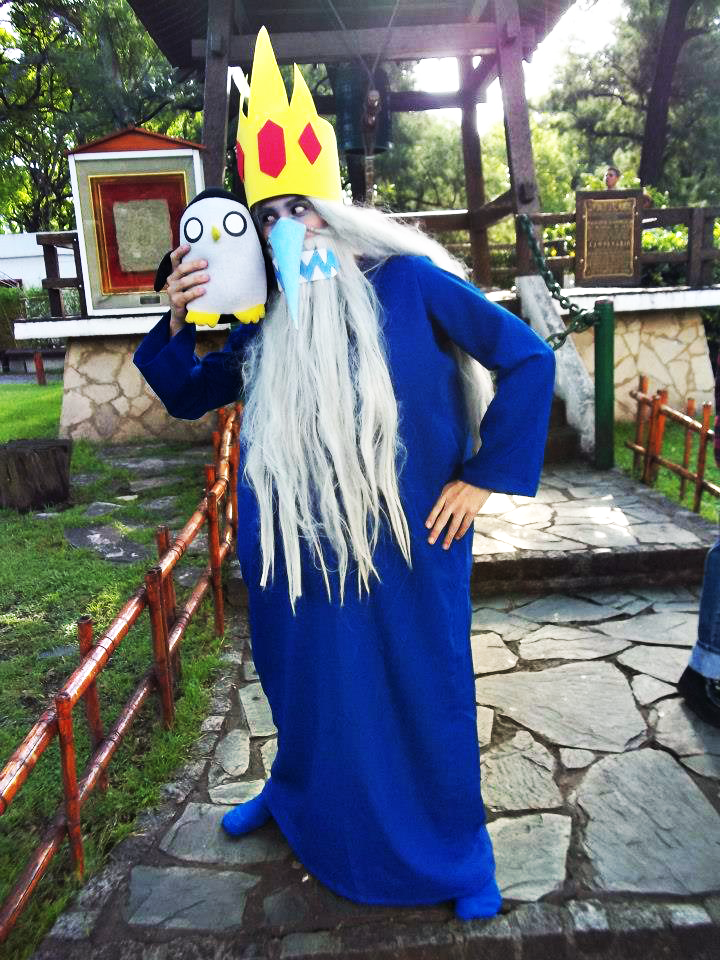 Ice King Cosplay by ViluVector on DeviantArt