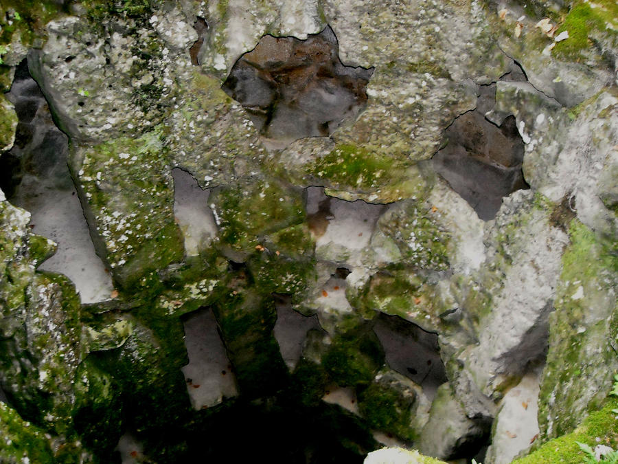 Quinta da Regaleira 8