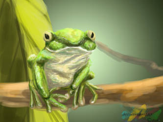 Frog speed paint