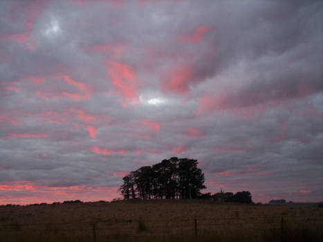 The Hill, Sunrise