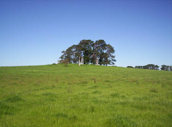 The Hill, Blue and Green