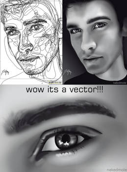 wow its a vector