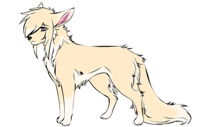 Light Cream and White Wolf Adoptable - CLOSED
