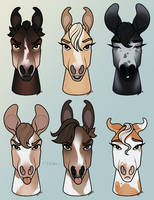 Horse Head/Expression Adopts - OPEN